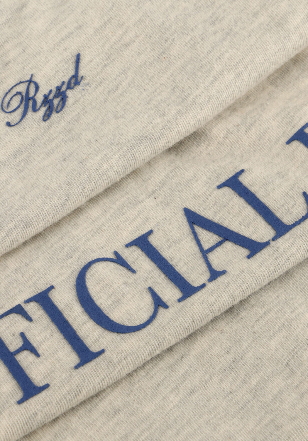 Lichtgrijze RAIZZED T-shirt HOFFICIAL - large