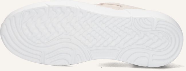 Beige NUBIKK Lage sneakers ROQUE RIVA Beige NUBIKK Lage sneakers ROQUE RIVA - large