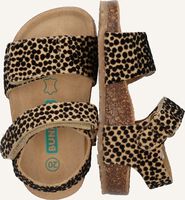 BUNNIESJR BIMI BEACH BUNNIESJR BIMI BEACH - medium