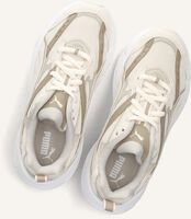 Beige PUMA Lage sneakers MORPHIC EARTHY Beige PUMA Lage sneakers MORPHIC EARTHY - medium
