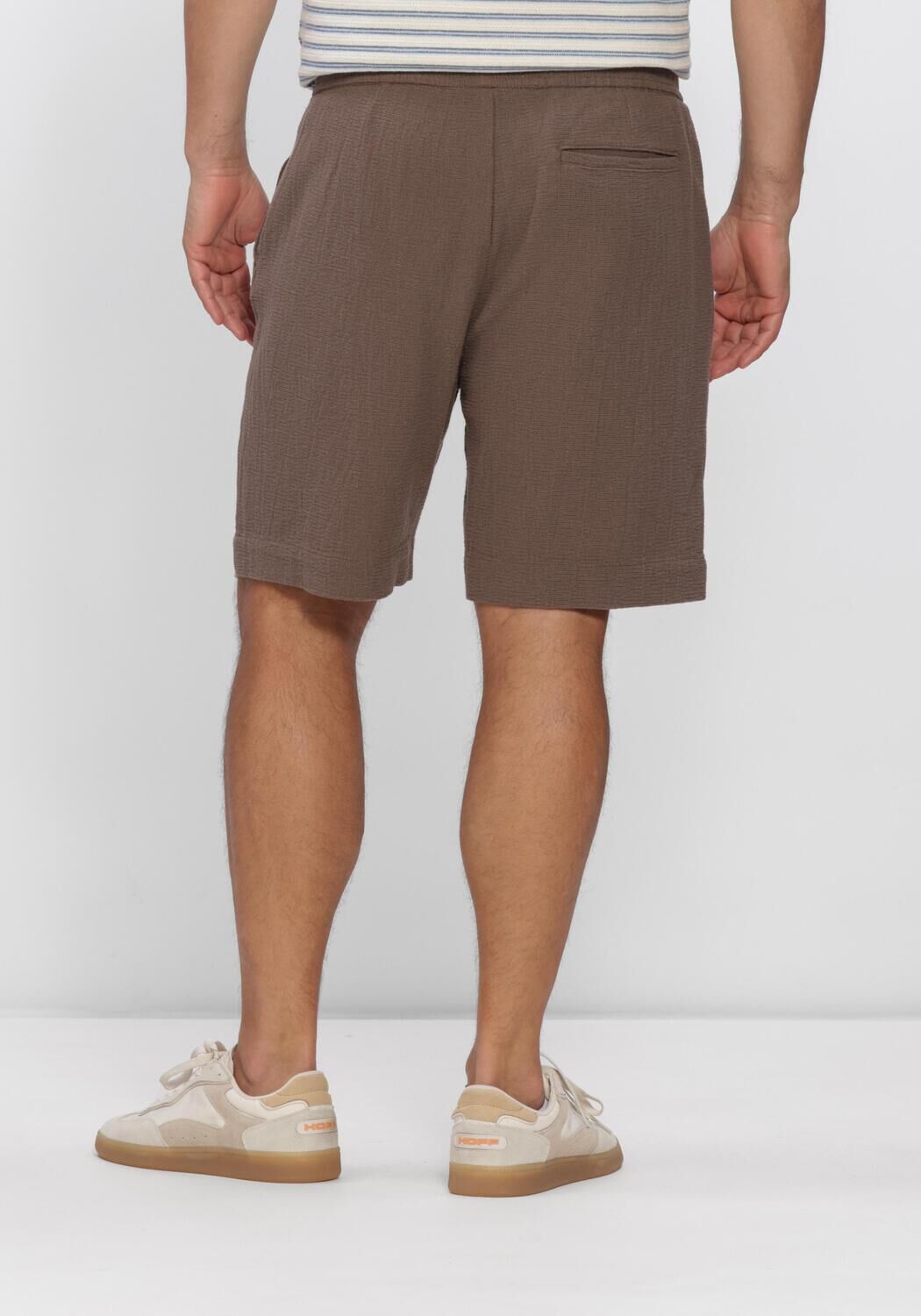 Bruine SELECTED MEN Broeken SLHREGCAL SHORTS - large