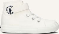 Beige POLO RALPH LAUREN Hoge sneakers FORRESTER HI PS Beige POLO RALPH LAUREN Hoge sneakers FORRESTER HI PS - medium