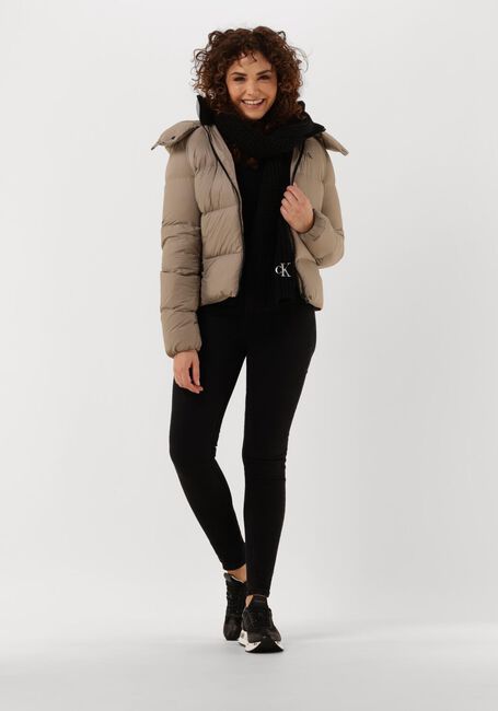 Taupe CALVIN KLEIN Gewatteerde jas CK MW DOWN SHORT PUFFER - large