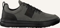 Grijze MAZZELTOV Lage sneakers 10448 - medium