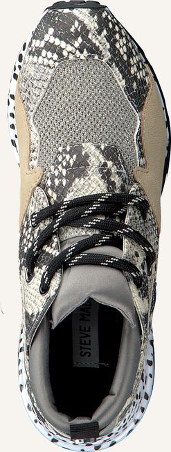 Beige STEVE MADDEN Lage sneakers CLIFF SNEAKER Beige STEVE MADDEN Lage sneakers CLIFF SNEAKER - large