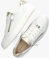 Witte HASSIA Lage sneakers 301239 - medium