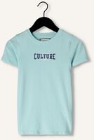 Blauwe RAIZZED T-shirt SHERIDAN Blauwe RAIZZED T-shirt SHERIDAN - medium