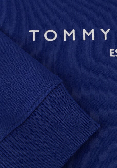 Blauwe TOMMY HILFIGER Trui U CORP LOGO ESS HOODIE - large
