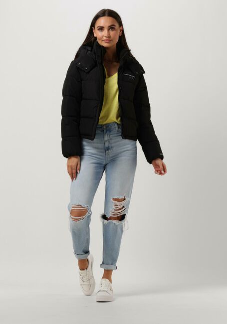 Zwarte CALVIN KLEIN Gewatteerde jas MONOLOGO MW ND SHORT PUFFER - large