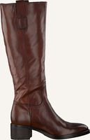 Bruine WALK IN THE PARK Hoge laarzen 7045 - medium