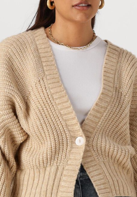 Beige NUKUS Trui JOLIJN CARDIGAN - large