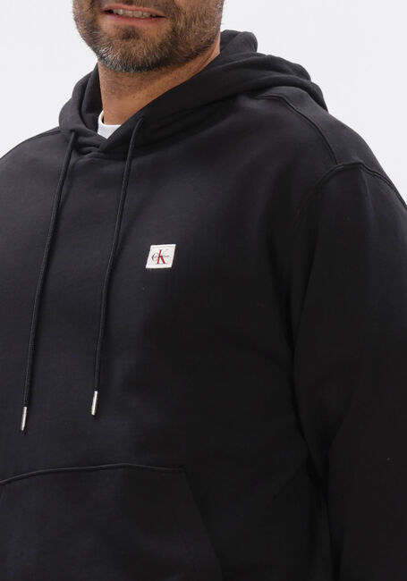 Zwarte CALVIN KLEIN Sweater LS 350TERRY EY WHSL BADGE HOODIE - large