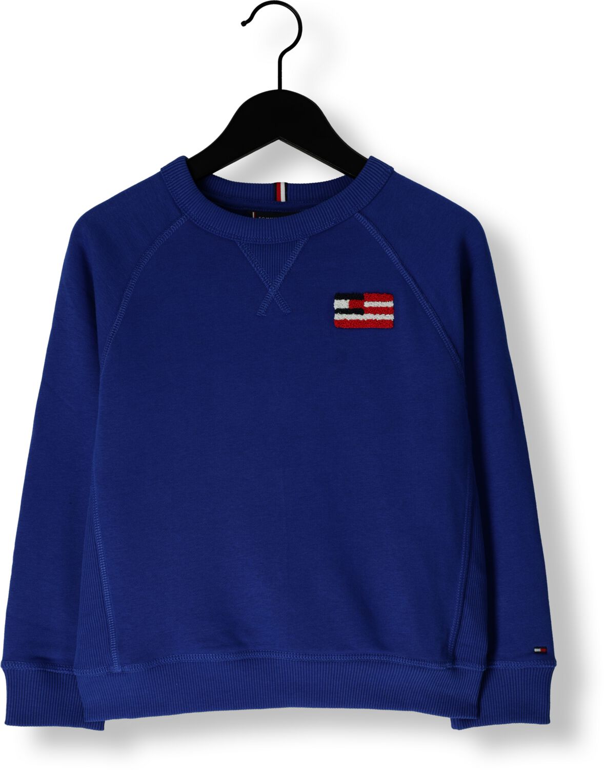 TOMMY HILFIGER Jongens Truien & Vesten Hilfiger Flag Relaxed Sweatshirt Blauw