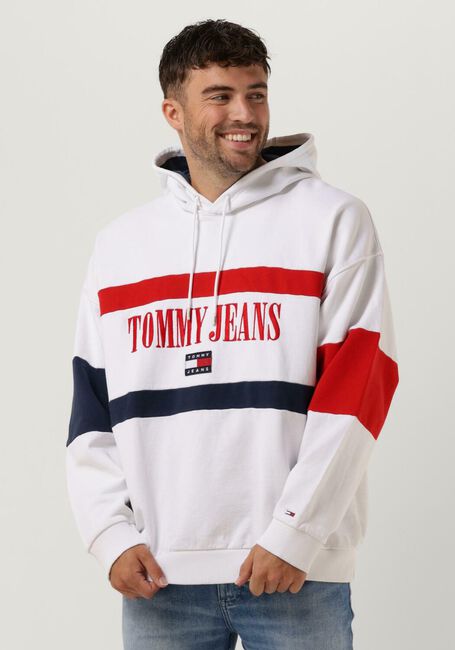 Multi TOMMY JEANS Sweater TJM SKATER ARCHIVE BLOCK HOODIE - large