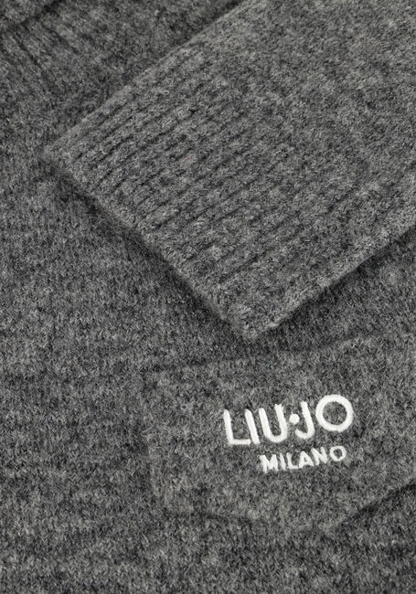 Grijze LIU JO Coltrui 3.0 MAGLIA CHIUSA M/L Grijze LIU JO Coltrui 3.0 MAGLIA CHIUSA M/L - large