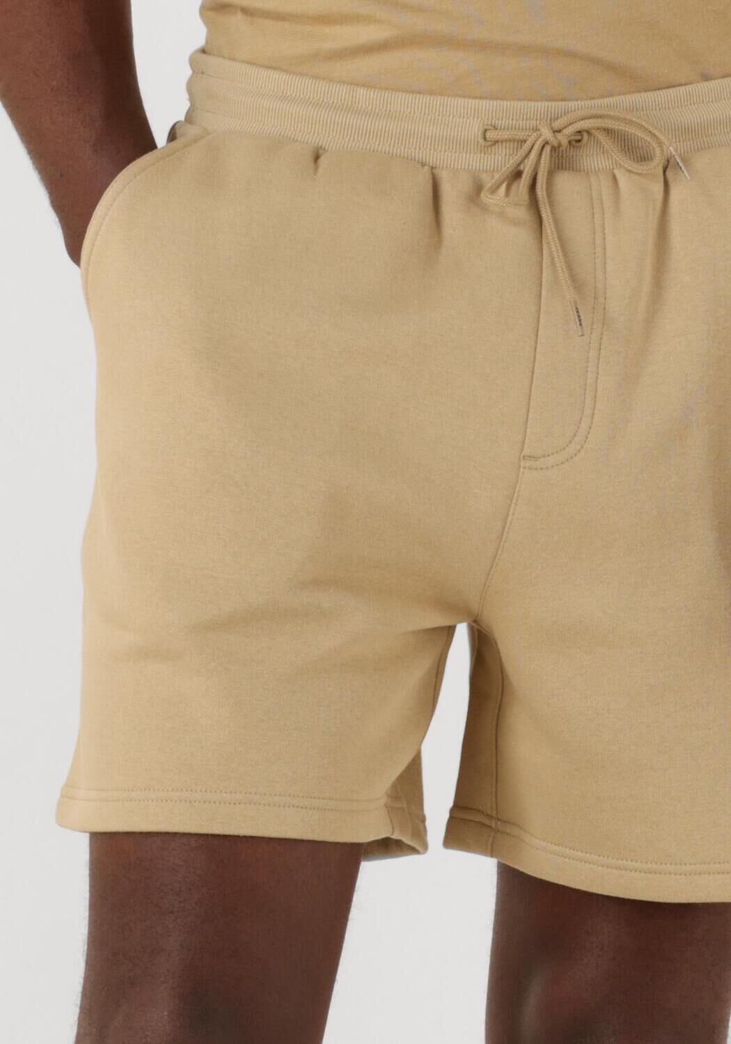 TOMMY JEANS Heren Broeken Tjm S Flag Beach Short Ext Zand