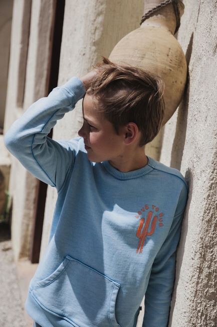 Lichtblauwe AMMEHOELA Sweater AM.ROCKY.47 - large