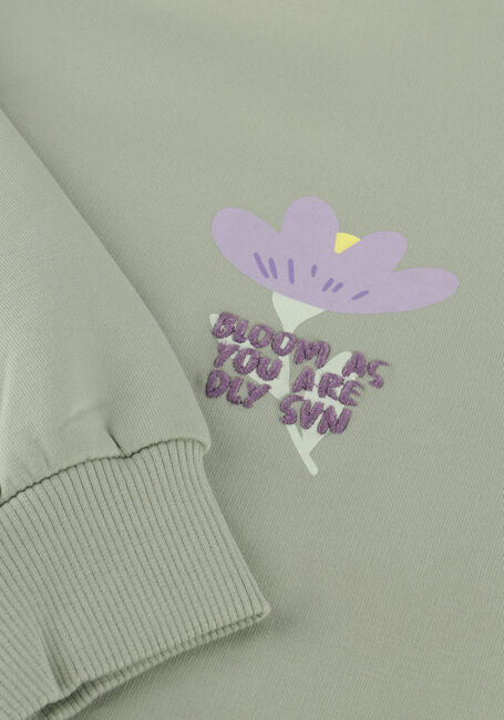 Mint DAILY7 Sweater SWEATER BACKPRINT - large