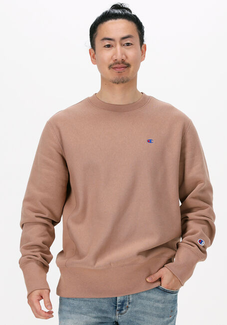 Bruine CHAMPION Sweater CREWNECK SWEATSHIRT - large
