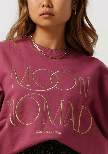 Roze COLOURFUL REBEL Trui MOON NOMAD EMBRO DROPPED SWEAT - large