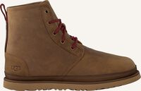Bruine UGG Veterboots HARKLEY WATERPROOF - medium