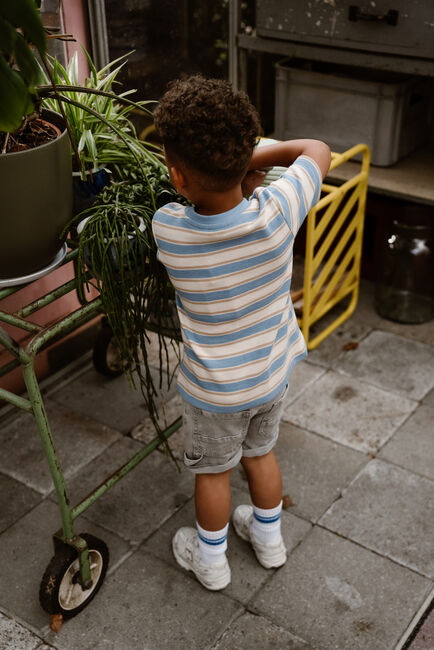 Lichtgrijze DAILY7 Shorts DENIM SHORT - large