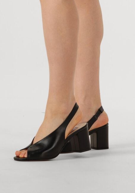 NOTRE-V 16068 NOTRE-V 16068 - large