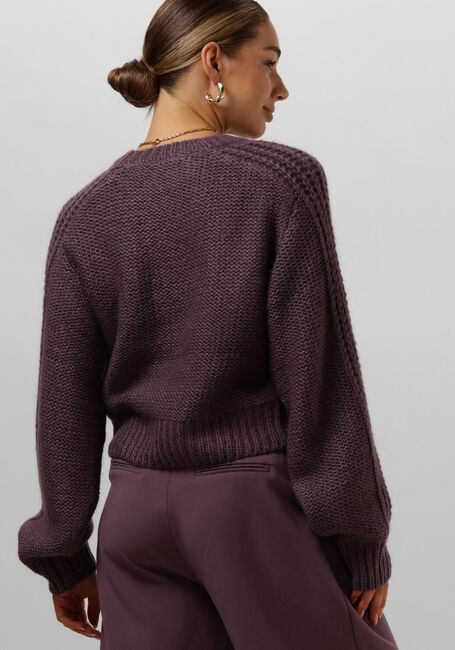 Paarse MSCH COPENHAGEN Trui MSCHDIELLA HEIDI PULLOVER - large