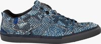 Blauwe FLORIS VAN BOMMEL Lage sneakers 14422 - medium