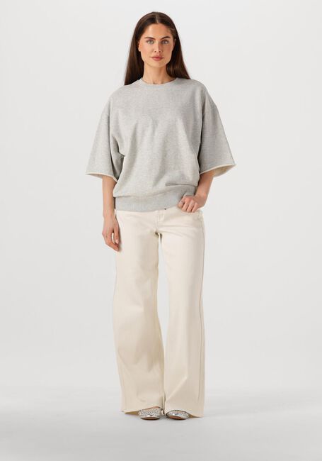 Grijze CATWALK JUNKIE Trui SHORT SLEEVE SWEATER - large