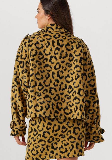 Oker AMAYA AMSTERDAM Jack LOTUS - large