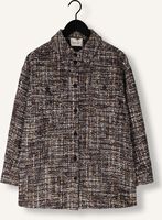 Bruine STUDIO AMAYA Jack JOLIE Bruine STUDIO AMAYA Jack JOLIE - medium