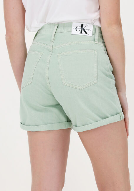 Lichtblauwe CALVIN KLEIN Shorts MOM SHORT - large
