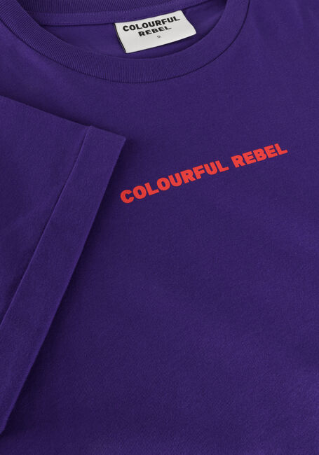 Paarse COLOURFUL REBEL T-shirt UNI LOGO BOXY TEE - large