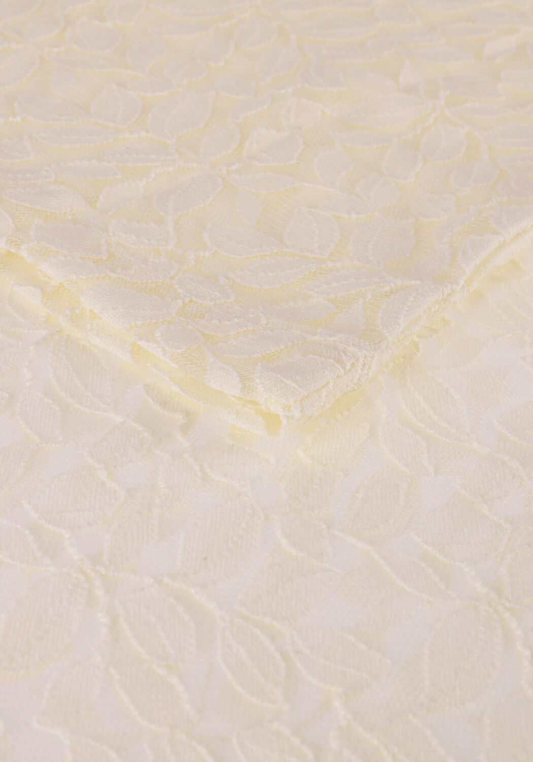 Creme ALIX THE LABEL Tops & T-shirts FITTED LACE TOP - large