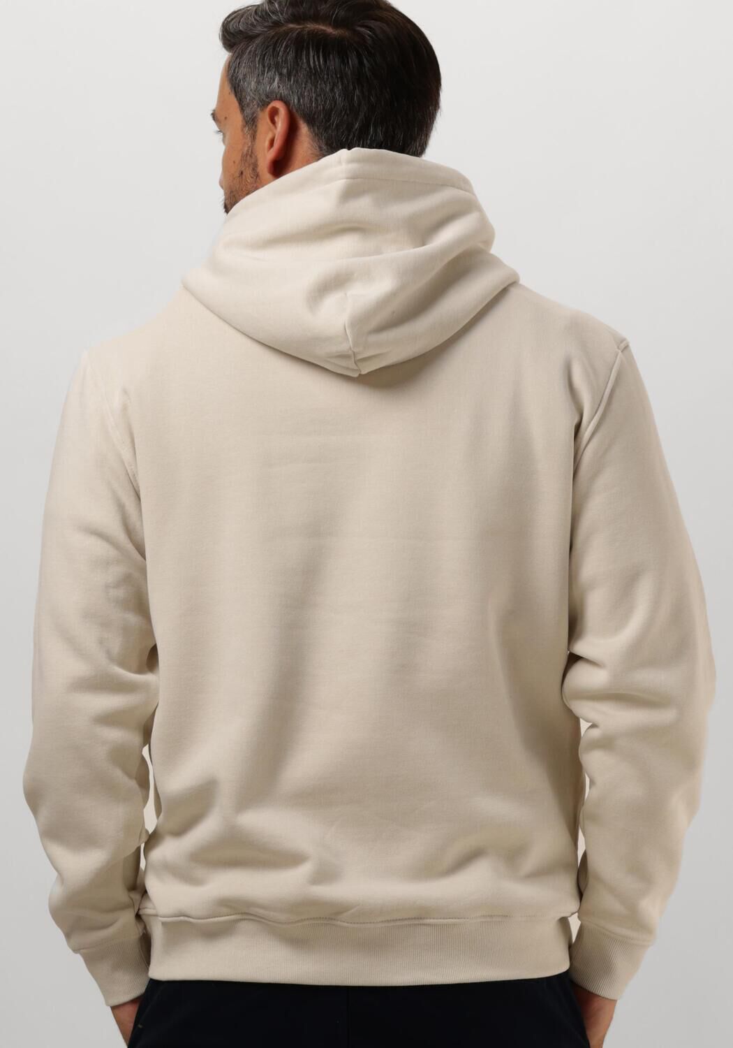TOMMY JEANS Heren Truien & Vesten Tjm Reg Essential Flag Hood Ext Beige