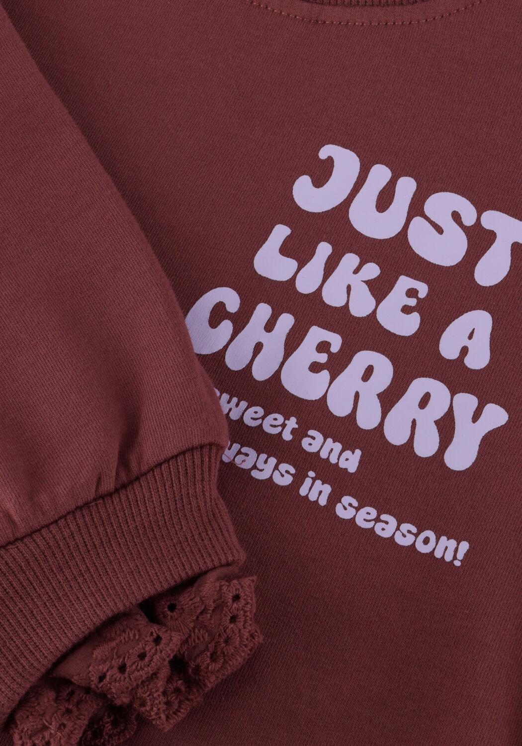 Bordeaux Z8 Trui LIZELOT - large