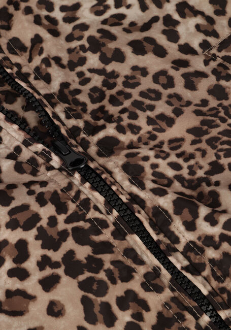 Bruine CARS JEANS Jack YELSA - large