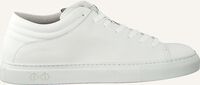 Witte NAT-2 Lage sneakers SLEEK LOW - medium