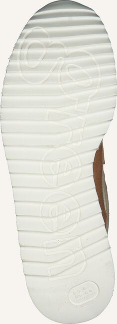 Beige PAUL GREEN Lage sneakers 4949 Beige PAUL GREEN Lage sneakers 4949 - large