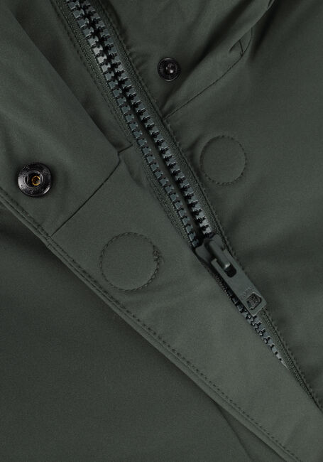 ELVINE ELINE ELVINE ELINE - large