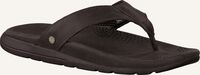 Bruine UGG Teenslippers TENOCH LUXE Bruine UGG Teenslippers TENOCH LUXE - medium