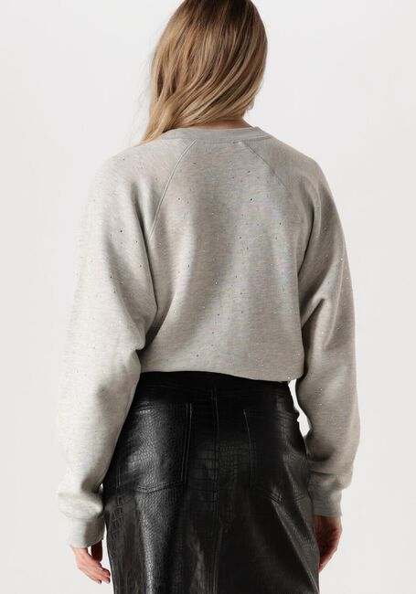 Grijze CATWALK JUNKIE Trui RELAXED RAGLAN SLEEVE SWEATER WITH STRASS - large