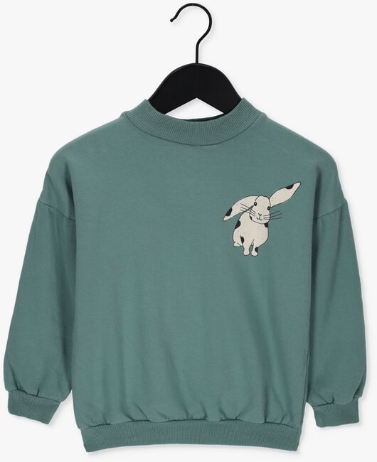 Groene LÖTIEKIDS Sweater W22-85-32 - large