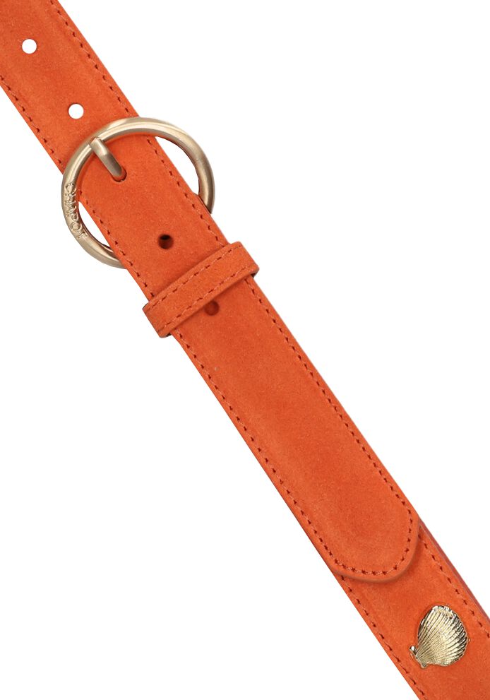 FABIENNE CHAPOT Dames Riemen Studded Shell Belt Oranje