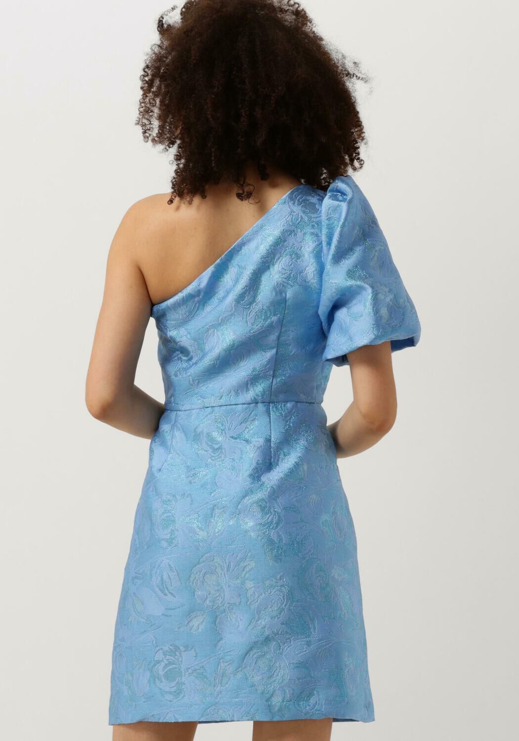 FREEBIRD Dames Jurken Dania Mini Blauw