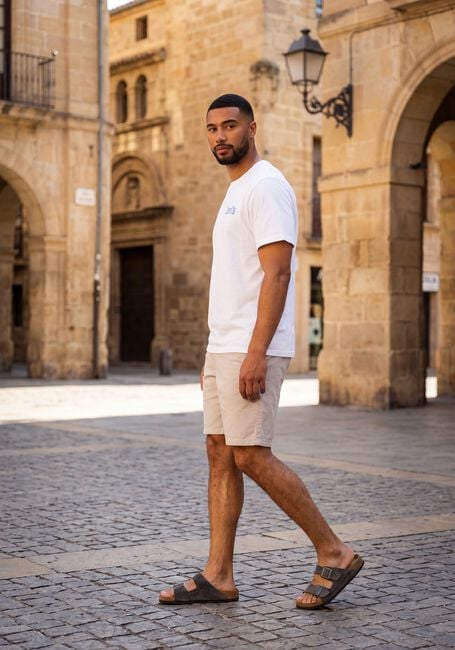Grijze JC RAGS Korte broek SHORT AUSTIN - large