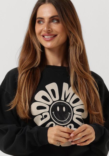 Grijze CATWALK JUNKIE Sweater SW MOOD - large