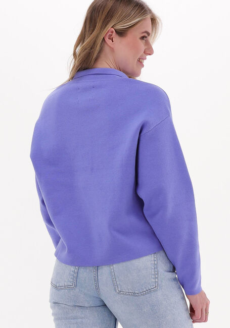 Paarse ANOTHER LABEL Trui CLEO KNITTED PULL - large