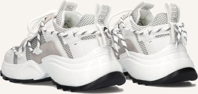 Witte STEVE MADDEN Lage sneakers TAZMANIA Witte STEVE MADDEN Lage sneakers TAZMANIA - large